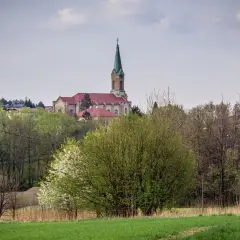Najlepsze atrakcje w Skoczowie, które musisz zobaczyć podczas wizyty