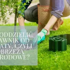Jak skutecznie oddzielić trawnik od kamieni – proste metody i praktyczne porady