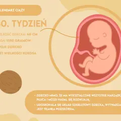 Jak wygląda dziecko w 30 tygodniu ciąży? Rozwój, ruchy i zmysły malucha