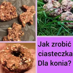 Jak zrobić ciastka dla koni, które zachwycą twojego pupila