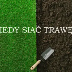 Kiedy siać trawę na trawnik, aby uniknąć błędów i cieszyć się pięknym trawnikiem?