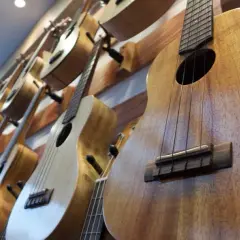 Ukulele jakie drewno wybrać, aby uzyskać najlepsze brzmienie?