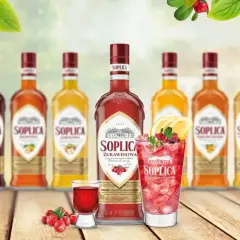 Wódka Soplica ile procent? Odkryj zaskakujące różnice w smakach