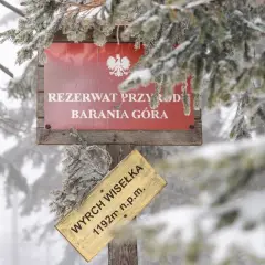 Gdzie jest Barania Góra? Odkryj jej lokalizację i atrakcje w okolicy