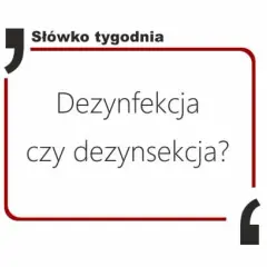 Dezynfekcja czy dezynfekcja: co musisz wiedzieć o skuteczności?