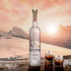 Ile kosztuje wódka Belvedere? Sprawdź ceny i oferty w sklepach