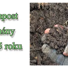 Jak zrobić kwaśny kompost, aby rośliny kwasolubne były zdrowe i silne