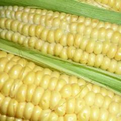 Czy mascarpone ma gluten? Odkryj, dlaczego jest bezpieczne dla Ciebie