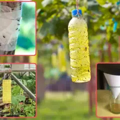 Skuteczne sposoby na muchy na tarasie – rośliny, pułapki i porady
