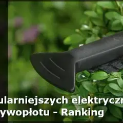 Nożyce do żywopłotu jakie wybrać – uniknij najczęstszych błędów