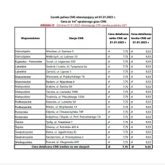 Ile kosztuje CNG w Polsce? Sprawdź ceny i uniknij wysokich kosztów paliwa