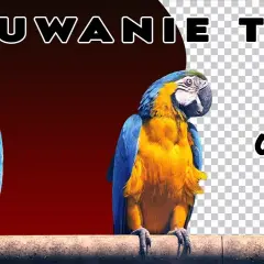 Jak usunąć tło w Photoshopie - skuteczne metody krok po kroku