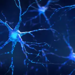 Psychodelik DMT: Zaskakujące efekty i znaczenie w kulturze