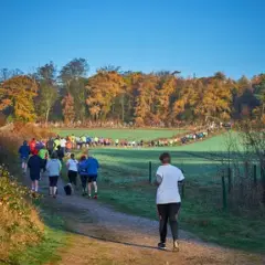 Parkrun jezioro swarzędzkie - jak wziąć udział i co warto wiedzieć