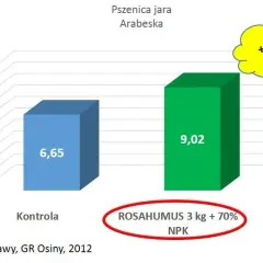 Jak uzupełnić fosfor w glebie, aby poprawić zdrowie roślin?