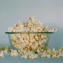 Czy pies może jeść popcorn? Sprawdź, co musisz wiedzieć!