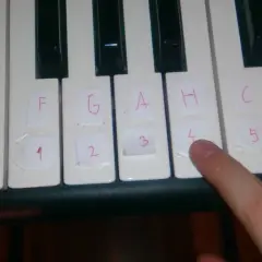 Jak zagrać wlazł kotek na płotek na pianinie i gitarze - łatwe nuty