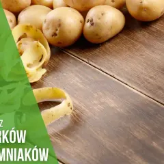 Czy obierki z ziemniaków nadają się na kompost? Bezpieczne metody i zasady.