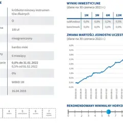 InPZU Inwestycji Ostrożnych: Ocena funduszu dla konserwatywnych