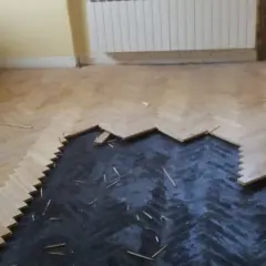 Czy lepik pod parkietem jest szkodliwy? Odkryj zagrożenia dla zdrowia.