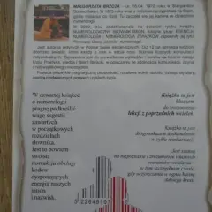 Numerologia klucz do poprzednich wcieleń kody reinkarnacji - odkryj swoje życie