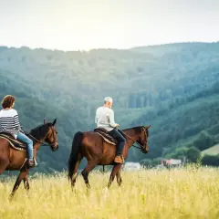 Stadnina koni Krynica Zdrój - najlepsze oferty jazdy konnej i hipoterapii