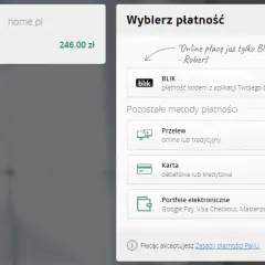 Jak szybko i bezpiecznie zapłacić blikiem na Steam bez problemów