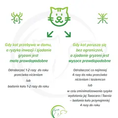Jak często odrobaczać kota, by uniknąć problemów zdrowotnych?