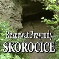 Rezerwat przyrody Skorocice: co warto wiedzieć przed zwiedzaniem i jak uniknąć błędów