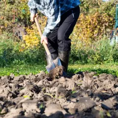 Czym użyźnić glebę na jesień, aby uniknąć słabych plonów?