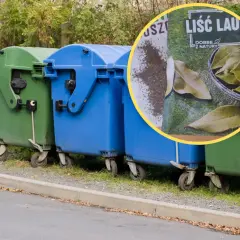 Gdzie wyrzucić torebki po przyprawach? Praktyczne zasady segregacji śmieci