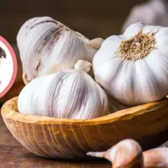 Czy pies może jeść czosnek? Poznaj prawdę o tej niebezpiecznej roślinie