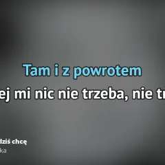 Tekst piosenki wszystko czego dziś chcę - emocje i znaczenie utworu