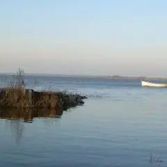 Wędkowanie w jeziorze Gardno: najlepsze miejsca i gatunki ryb