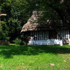Szymbark skansen: Odkryj fascynującą historię i unikalne eksponaty