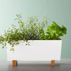 Macetas decorativas que transformarán tu hogar y jardín con estilo
