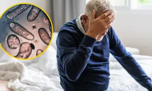 Toksoplazmoza a psychika: Czy pasożyt zmienia Twój umysł?