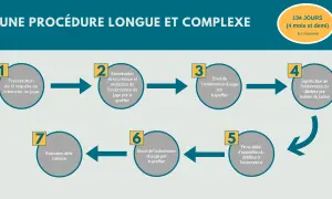 Procédure de recouvrement : présentation requête, examen créance, envoi ordonnance, signification par huissier, fin délai opposition, exécution.