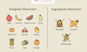 Geeignete und ungeeignete Obstsorten für den Hund: Äpfel, Bananen, Wassermelonen, Birnen, Mandarinen, Kirschen, Mangos, Ananas, Kiwis, Orangen sind gut. Avocados, Zitronen und Weintrauben sind schlecht.