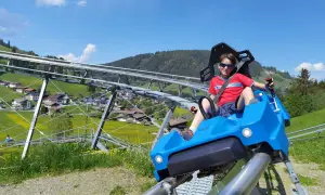 Junge auf einer Sommerrodelbahn in Bayern, genießt die Fahrt mit Blick auf grüne Berge und gelbe Blumen.