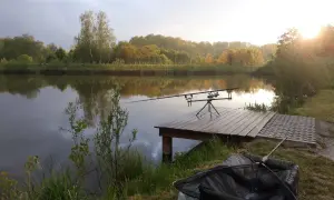 Spokojne łowisko pod borem. Wędki na statywie czekają na branie przy spokojnej tafli wody. W tle drzewa i zachodzące słońce.