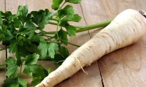 Pietruszka nie lubi konkurencji. Obok korzenia pietruszki leży pęczek zielonej natki.