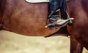 Jazda konna z idealnie dopasowanym siodłem. Dbałość o komfort konia i jeźdźca, jak u dobrego saddle fittera.
