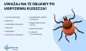 Ugryzienie kleszcza: objawy boreliozy i KZM. Sprawdź, co robić!