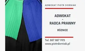 Kto to jest prawnik? Poznaj różne role i obowiązki prawników