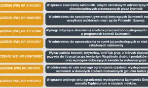 Salmonelloza: 5 filarów ochrony. Jak skutecznie zapobiegać?
