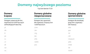 Domena .org: Dla kogo jest idealna i czy warto ją wybrać?