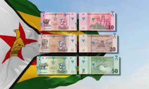 Zimbabwe waluta: banknoty 10, 20 i 50 ZIG z wizerunkami zwierząt i budynków. Flaga Zimbabwe w tle.