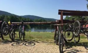 Rowerowe przygody czekają! Wiele rowerów gotowych do podboju tras rowerowych Świeradów Zdrój, nad jeziorem z plażowiczami.