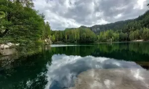 Spokojne jezioro Wądzyńskie otoczone zielonym lasem, z odbijającymi się w wodzie chmurami i drzewami.